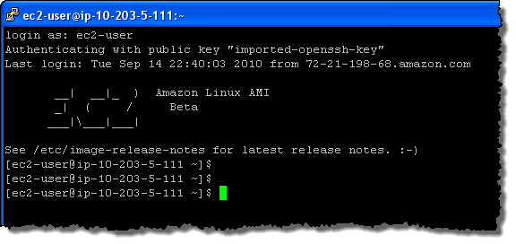 amazon_linux_ami_final
